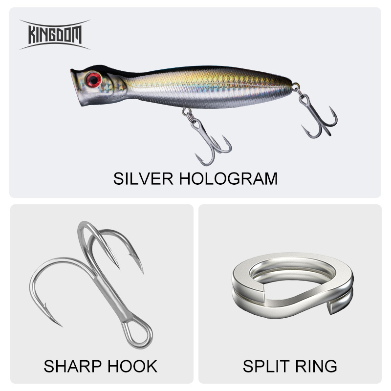 Koninkrijk Drijvende Popper Vi - Fishing Lure Popper recensie en prijs