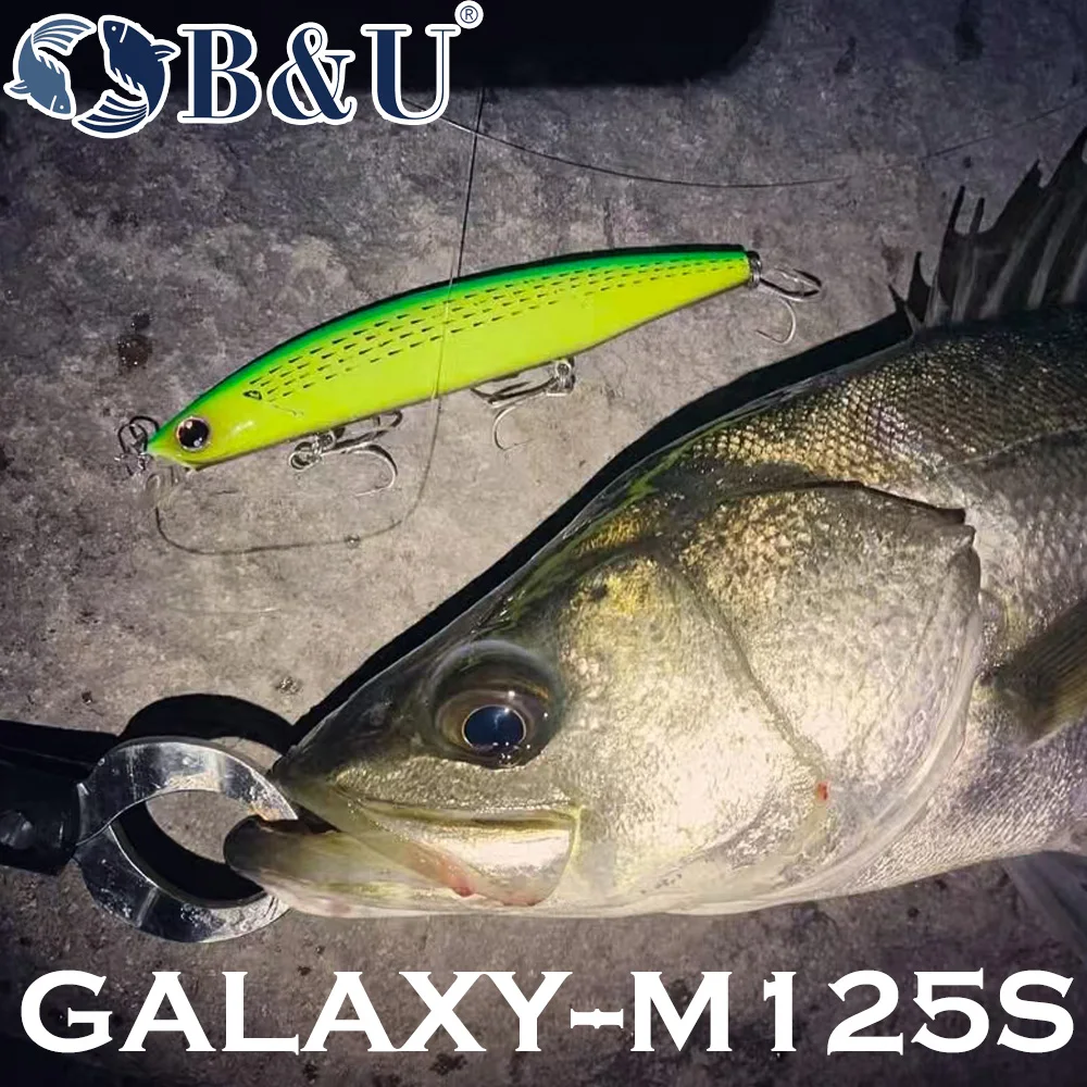 B&U 125mm Sinking Minnow Zeevi - Fishing Lure Jerkbait recensie en prijs